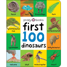 First 100 Dinosaurs: A soft-to-touch, first words book for babies and toddlers (First 100 Soft To Touch)