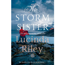 The Storm Sister: Ally's Story: 2 (The Seven Sisters, 2)