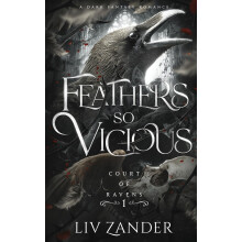 Feathers so Vicious: A Dark Fantasy Romance: 1 (Court of Ravens)