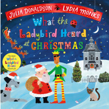 What the Ladybird Heard at Christmas: A laugh-out-loud rhyming adventure!