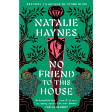 No Friend to This House: A Gripping Feminist Retelling of Greek Myth From the Bestselling Author of Stone Blind