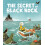 The Secret of Black Rock 1