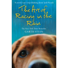Art Of Racing In The Rain: A Unique Contemporary Fiction Novel Told Through the Eyes of a Dog