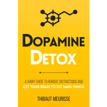 Dopamine Detox: A Short Guide to Remove Distractions and Get Your Brain to Do Hard Things: 1 (Productivity Series)