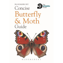 Concise Butterfly and Moth Guide (Concise Guides)