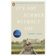 It's Not Summer Without You: Book 2 in the Summer I Turned Pretty Series (Summer TV Tie-Ins, 2)