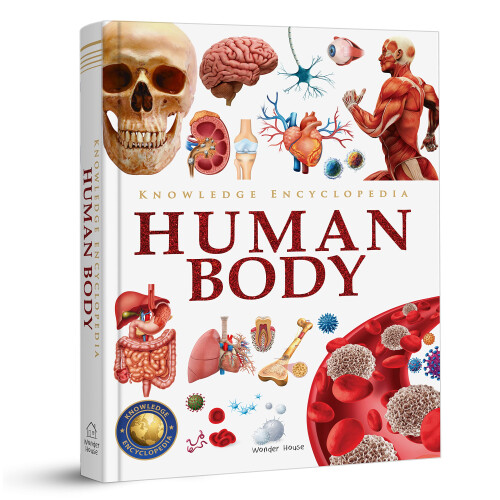 Knowledge Encyclopedia - Human Body (Knowledge Encyclopedia for Children)