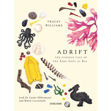Adrift: The Curious Tale of the Lego Lost at Sea