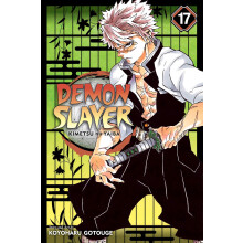 Demon Slayer: Kimetsu no Yaiba, Vol. 17: Successors: Volume 17