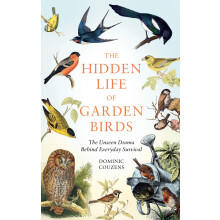 The Hidden Life of Garden Birds: The unseen drama behind everyday survival