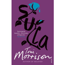 Sula: A landmark novel on Black womanhood, community, and the price of freedom