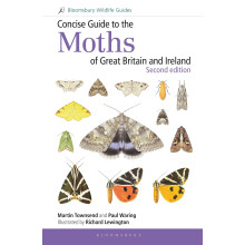 Concise Guide to the Moths of Great Britain and Ireland: Second edition