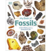 My Book of Fossils: A fact-filled guide to prehistoric life