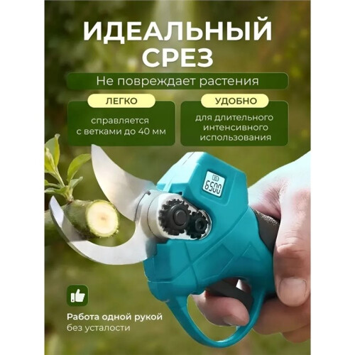 Bürstenloser Elektrischer Gartenschneider, Akku-Gartenschere, Obstbaumschere, EU-Stecker 1