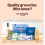 Our Essentials by Amazon Kitchen Towel Jumbo Roll 1 Pack, 2-Ply, 240 Sheets 6