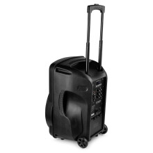 Fenton FT15LED MK2 15-Inch Portable PA System, 800W, Battery, Mic
