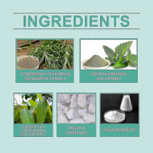 Mint Fresh Breath Powder Teeth Cleaning Decontamination Daily Care Mouth Clean And Fresh