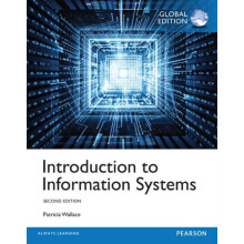 Introduction to Information Systems Global Edition by Patricia Wallace