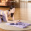 Pack of 1 Componentized Grape Counting Pilates Set 100+ Exercise Approaches Count money 5