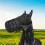 Professional Breathable Grazing Muzzle Comfortable Horse Mouth Cover Enduring M 9