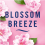 Febreze 2 x 20ml Febreze 3Volution Plug in refill - Blossom & Breeze 2