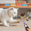 Simulation Flapping Bird Cats Teasing Toy Remote Control Plush Animal Teaser Toy owl 7
