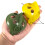Baits Feeder Tool Fixed Point Pellet Feeder Throwing Holder Easy to Operate Green 8