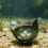 Baits Feeder Tool Fixed Point Pellet Feeder Throwing Holder Easy to Operate Green 11