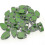 Shiyi Plant Climbing Fixing Clip Invisible Fixer Hook (leaf S, 10pcs)- 2