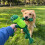 KONG KONG Knots Frog with Inner Rope Skeleton 5