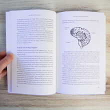 Your Brain’s Not Broken: Strategies for Navigating Your Emotions and Life with ADHD