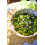 BBQ: Easy Grilling, Big Flavour 4
