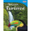 Amazon Rainforest by William Rice Paperback Book 1