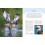 RSPB British Birds of Prey 2