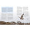 RSPB British Birds of Prey 3