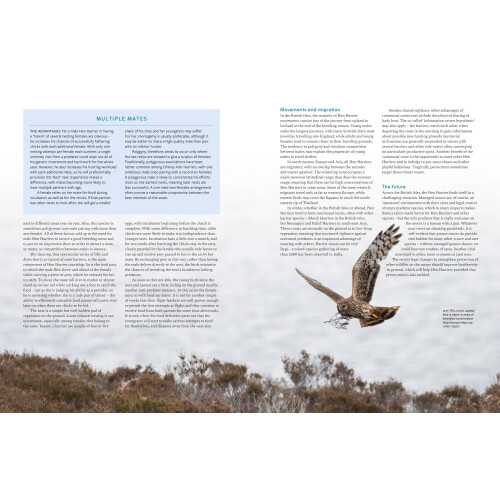 RSPB British Birds of Prey 2