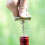 Hand-held T-shaped Mini Pocket Corkscrew used In Kitchen Restaurant 4