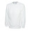 Classic Sweatshirt 1