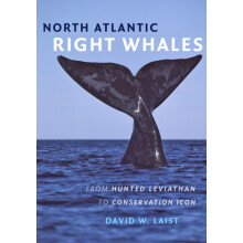 North Atlantic Right Whales by David W. Laist Hardcover Book