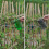 Long-Mouth Watering Can Household Watering Can Gardening Tools 4