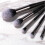 6pcs Professional Long Handle Fiber Makeup Brush Set 5