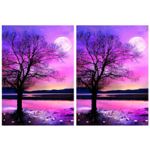 2X DIY 5D Diamond Painting By Number Kits, Round Full Drill Crystal Rhinestone Embroidery Paint with Diamonds