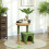 Arbre à chat avec maisonnette, panier et 2 balles, en bois et polyester, vert et marron 3