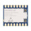 4PCS Core2021- Core2021 LoRa Dual Band Module 850MHz-930MHz LR2021 Low Power Multi-Protocol IoT LoRaWAN  Home 4