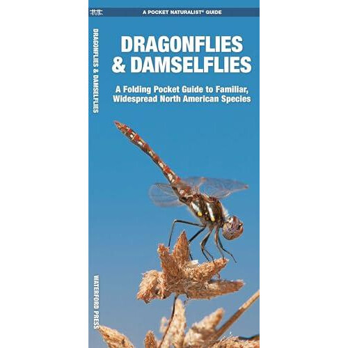 Dragonflies Damselflies by James Kavanagh Paperback Book