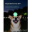 Dog Light Ball Phoesky Διαδραστικό παιχνίδι 6 cm TPR Καθαρισμός 2