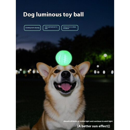 Dog Light Ball Phoesky Διαδραστικό παιχνίδι 6 cm TPR Καθαρισμός 1