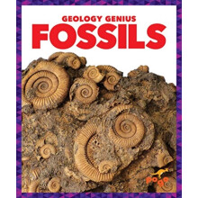 Fossils by Rebecca Pettiford Hardcover Book
