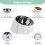 Raised Pet Bowl Phoesky Ανοξείδωτο Ατσάλι Βάση Μελαμίνης 6