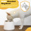 Raised Pet Bowls Phoesky 450 ml 13.2x13 cm Ανοξείδωτο ατσάλι Λευκό 4